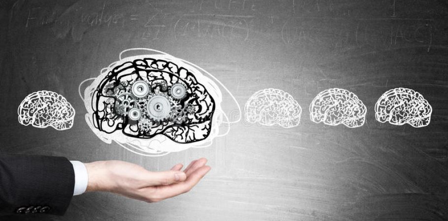 Il cervello prende forma