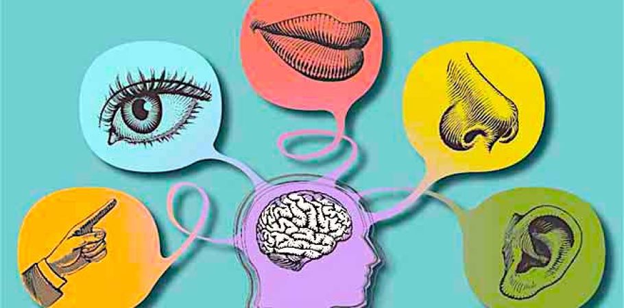 Integrazione sensoriale e potenzialità percettive